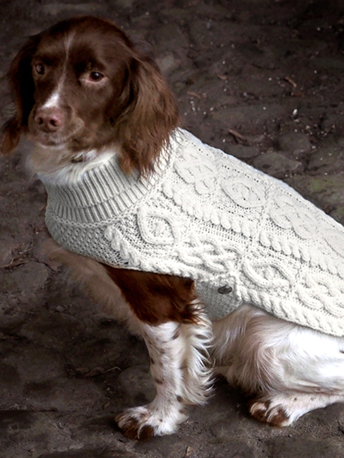 dog-coat_lg_b82617cd-0248-4f62-b066-2dd538766661.jpg