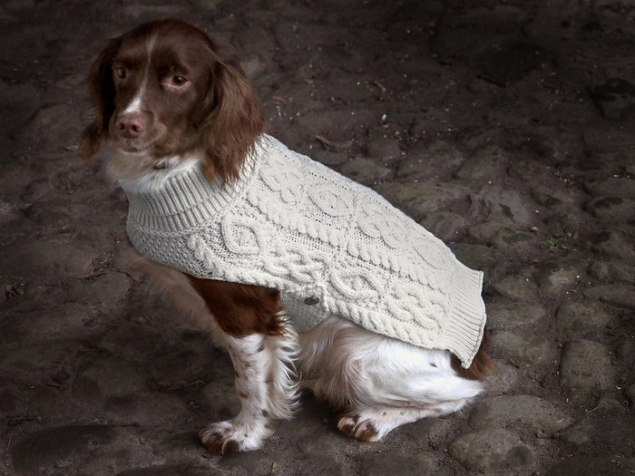 dog_coat_1_b9189772-5b84-4603-823f-6aeb0cc87484.jpg