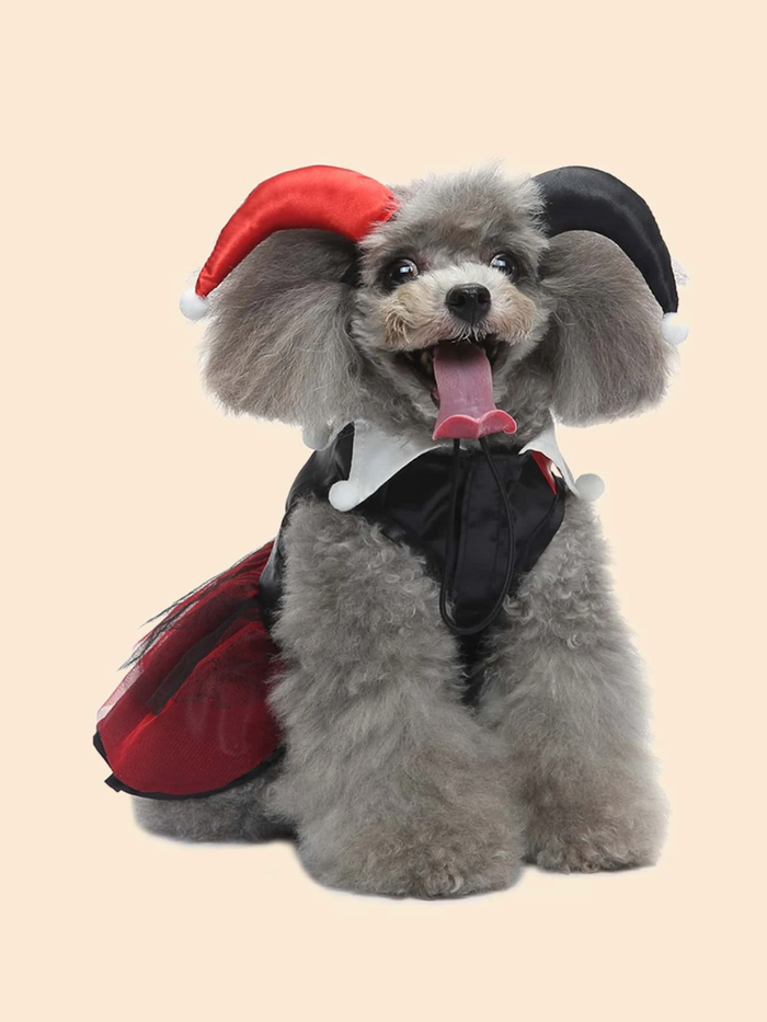 Dog Adorable  Magician Halloween Costume Mia Belle Girls