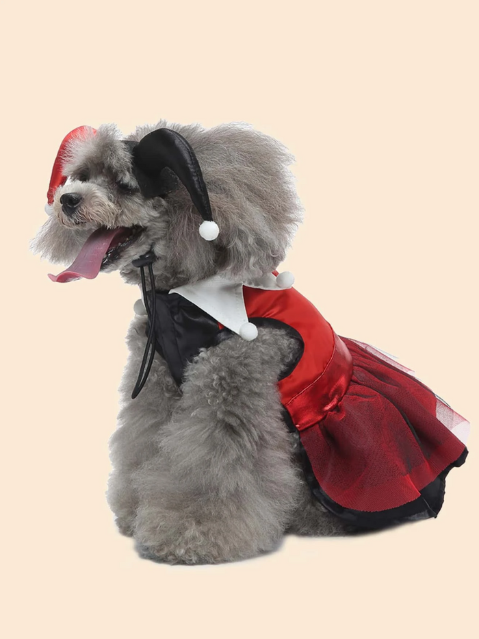 Dog Adorable  Magician Halloween Costume Mia Belle Girls