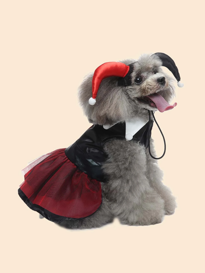 Dog Adorable  Magician Halloween Costume Mia Belle Girls