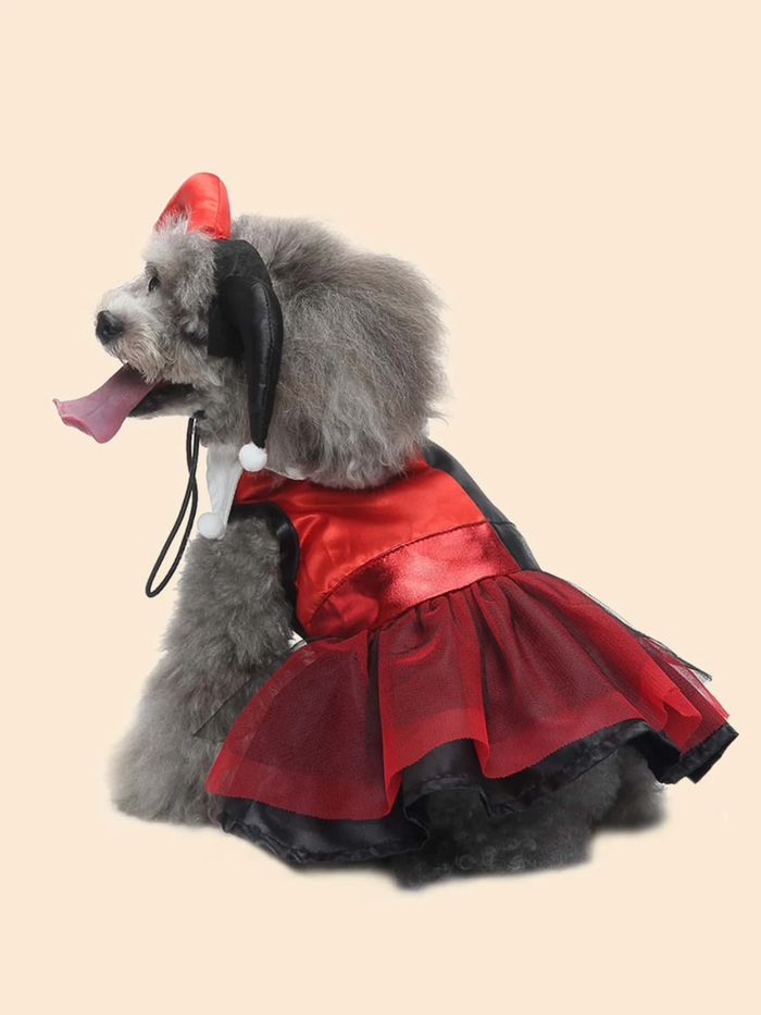 Dog Adorable  Magician Halloween Costume Mia Belle Girls