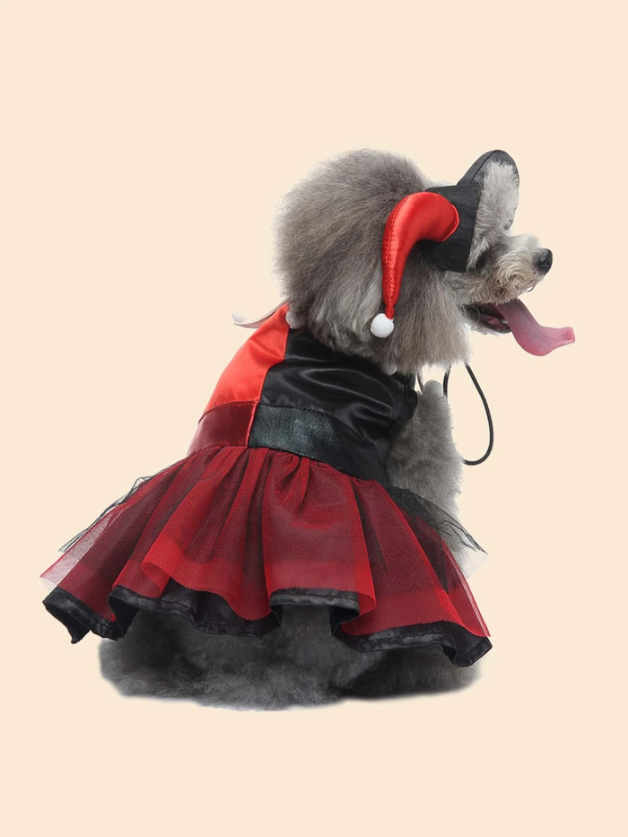 Dog Adorable  Magician Halloween Costume Mia Belle Girls