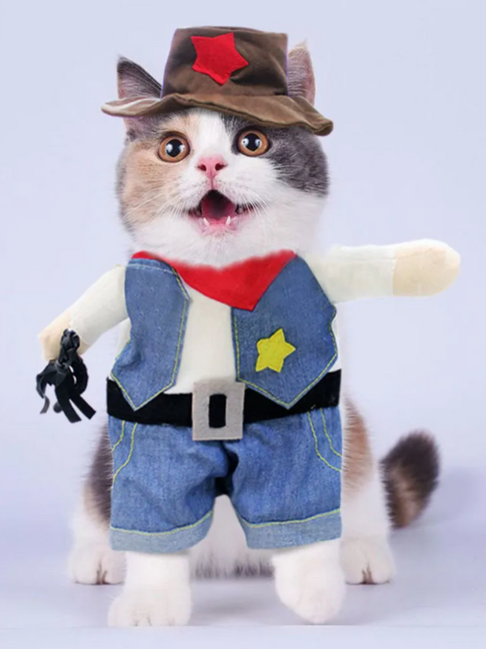 Dog Funny Cowboy Halloween Costume for Dogs and Cats Mia Belle Girls
