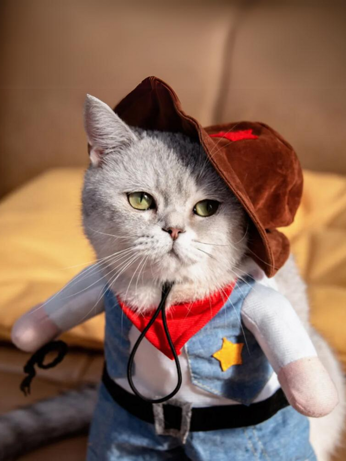 Dog Funny Cowboy Halloween Costume for Dogs and Cats Mia Belle Girls