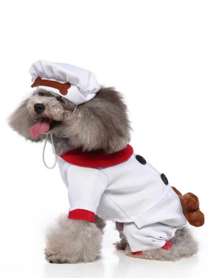 Dog Pawsitively Adorable Chef Halloween Costume Mia Belle Girls