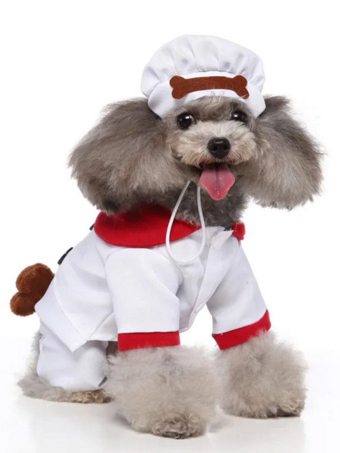 Dog Pawsitively Adorable Chef Halloween Costume Mia Belle Girls