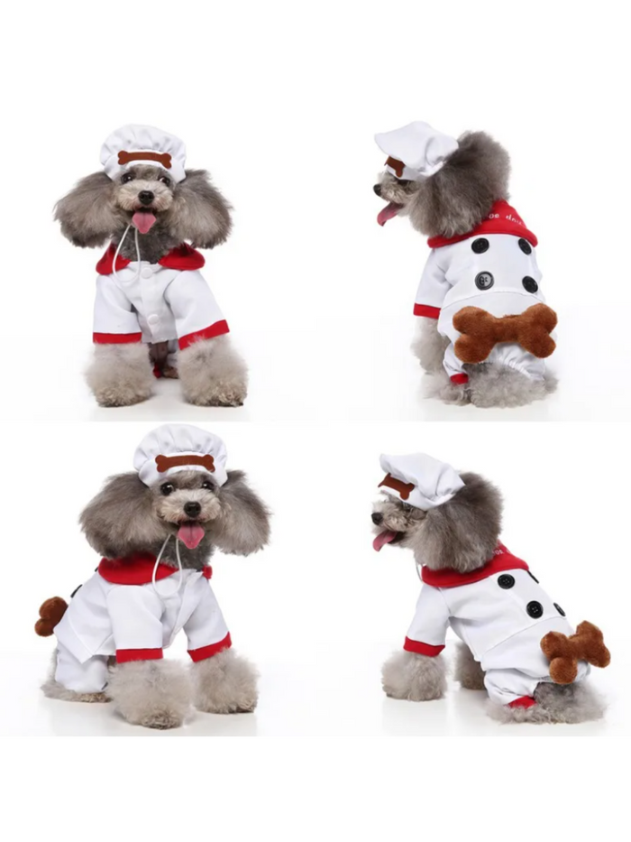 Dog Pawsitively Adorable Chef Halloween Costume Mia Belle Girls