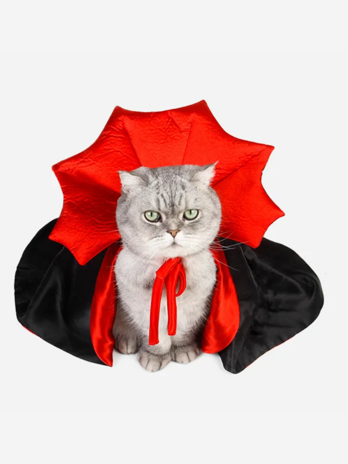Halloween Vampire Cloak for Small Dogs and Cats Mia Belle Girls