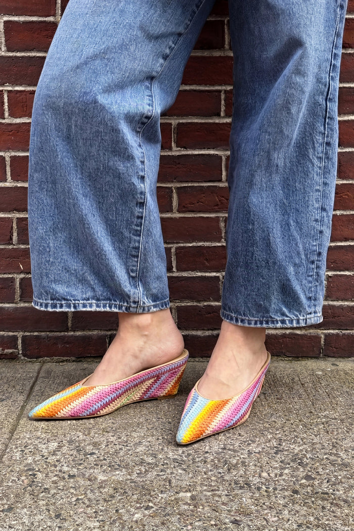 Loulou Mule Rainbow Raffia Mule Larroudé