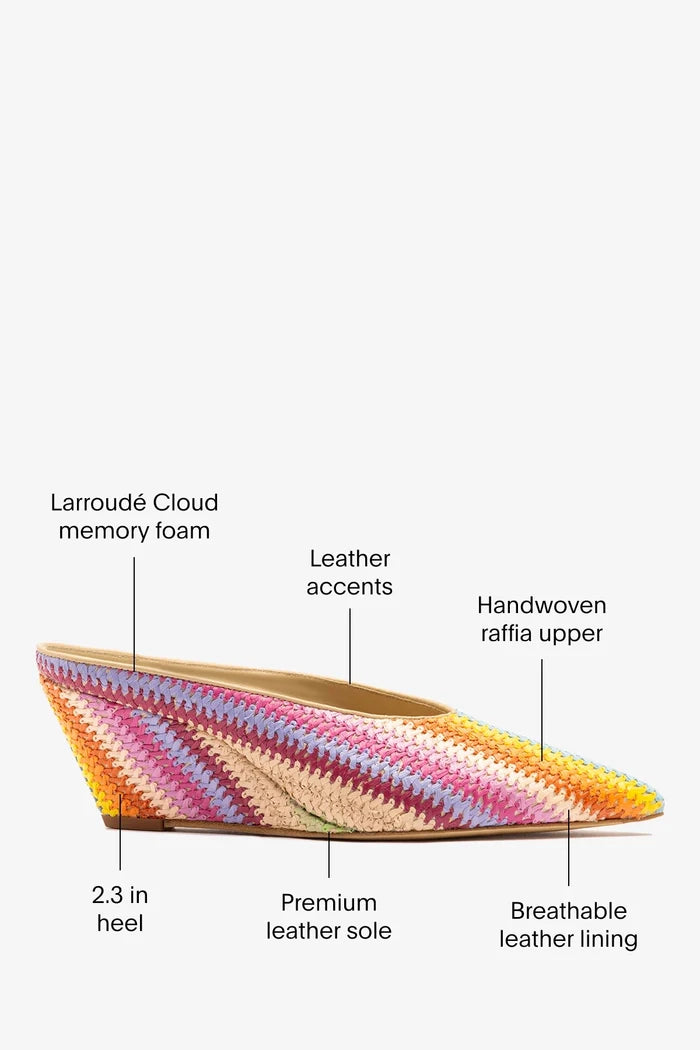 Loulou Mule Rainbow Raffia Mule Larroudé
