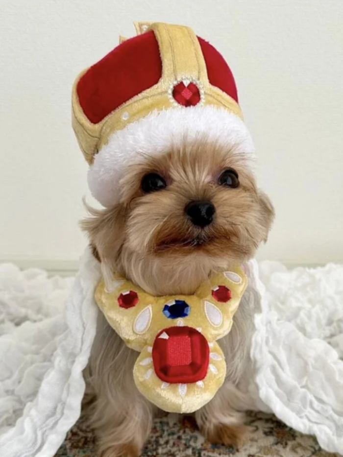 Majestic King Crown and Necklace Pet Halloween Costume Mia Belle Girls