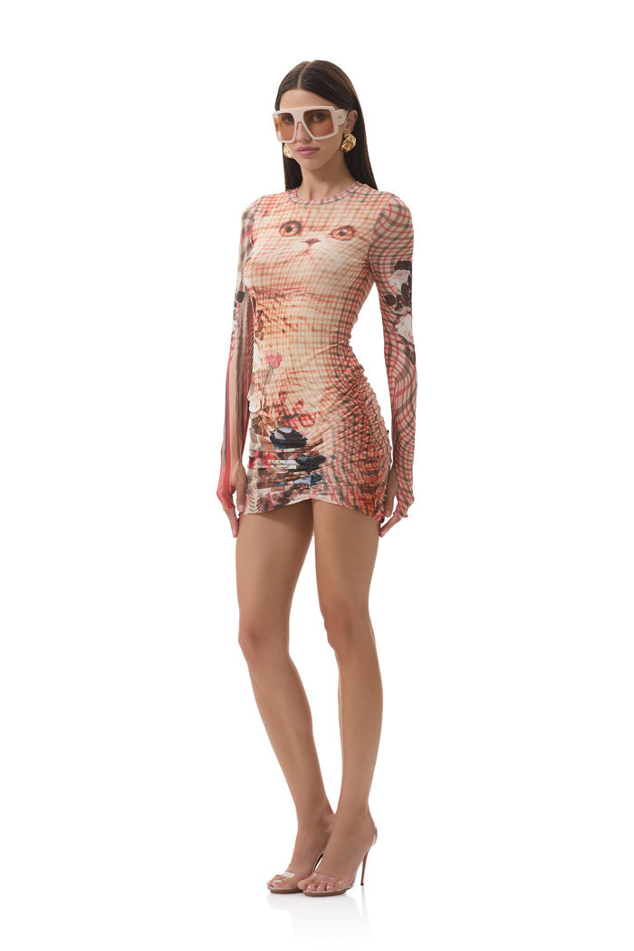 mirza-dress-kitten-plaid