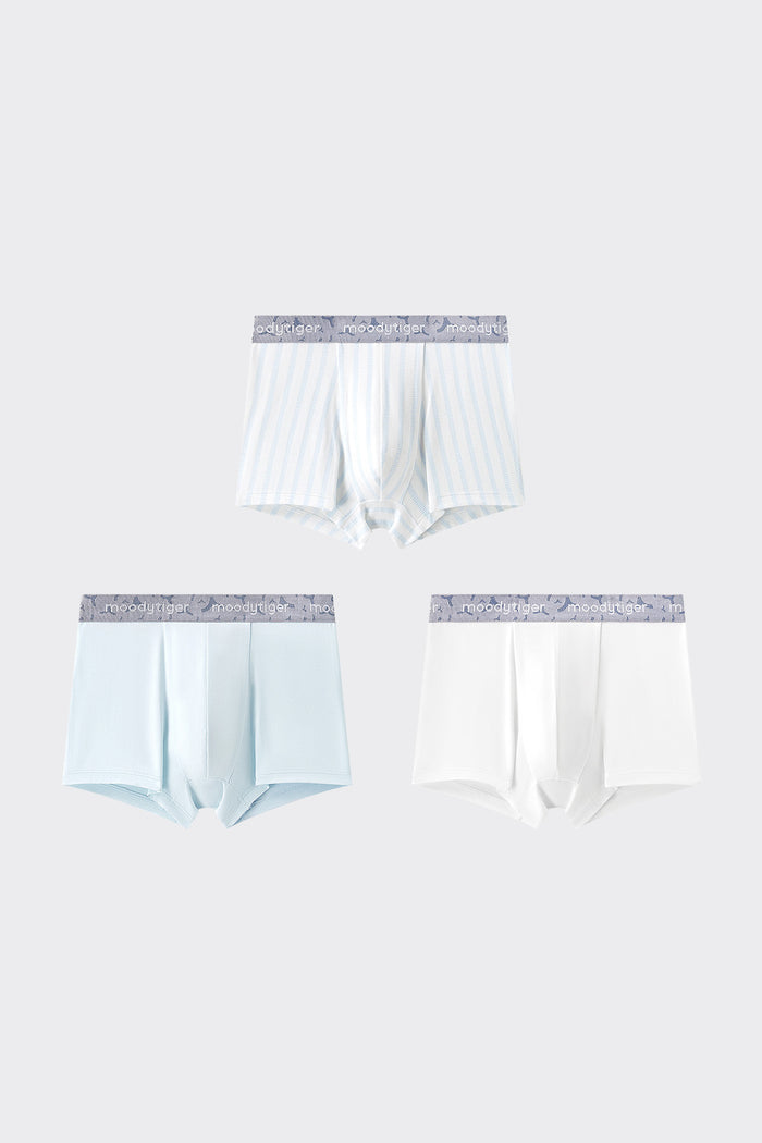 **Stripe Blue**
