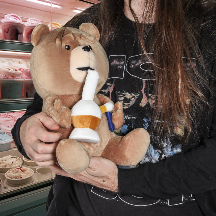 13-inch Ted plush toy with sound from the Kidrobot TED TV show, featuring soft fabric and detailed character design.